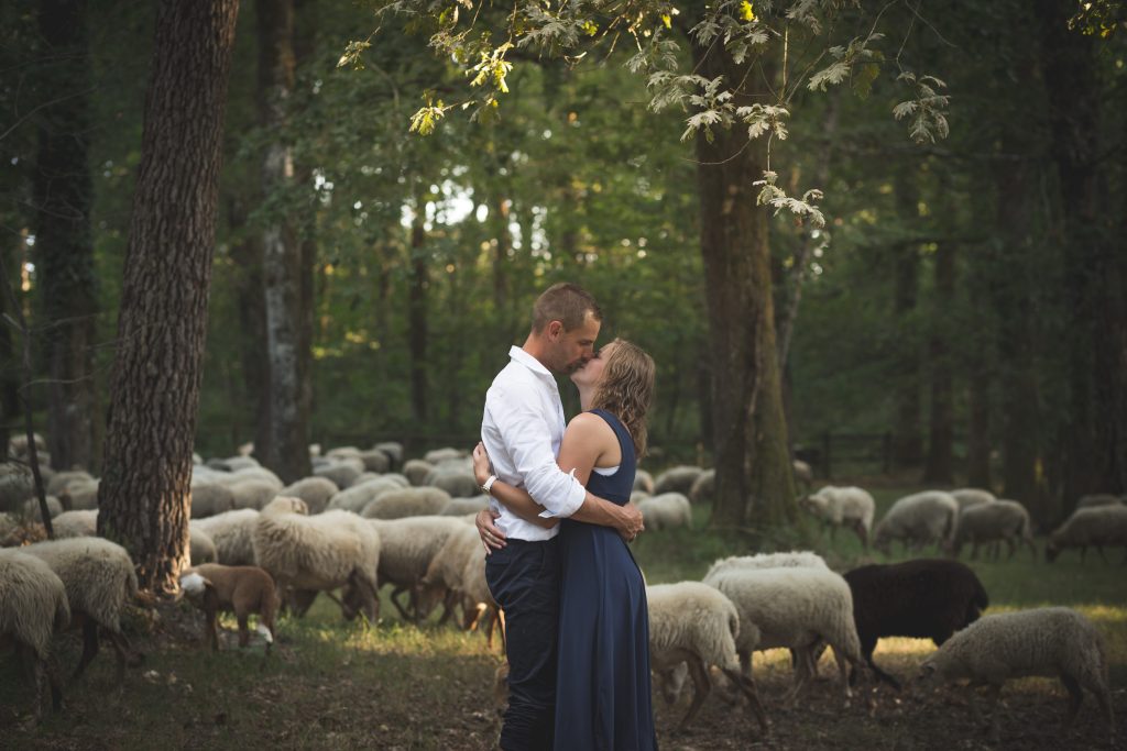 Vanéa photographie photographe en Dordogne - couple qui s'embrasse dans la foret de la Double parmi les moutons